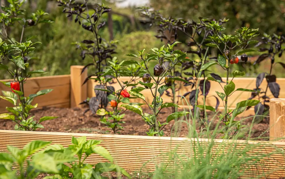 Can You Put A Raised Garden Bed On Grass