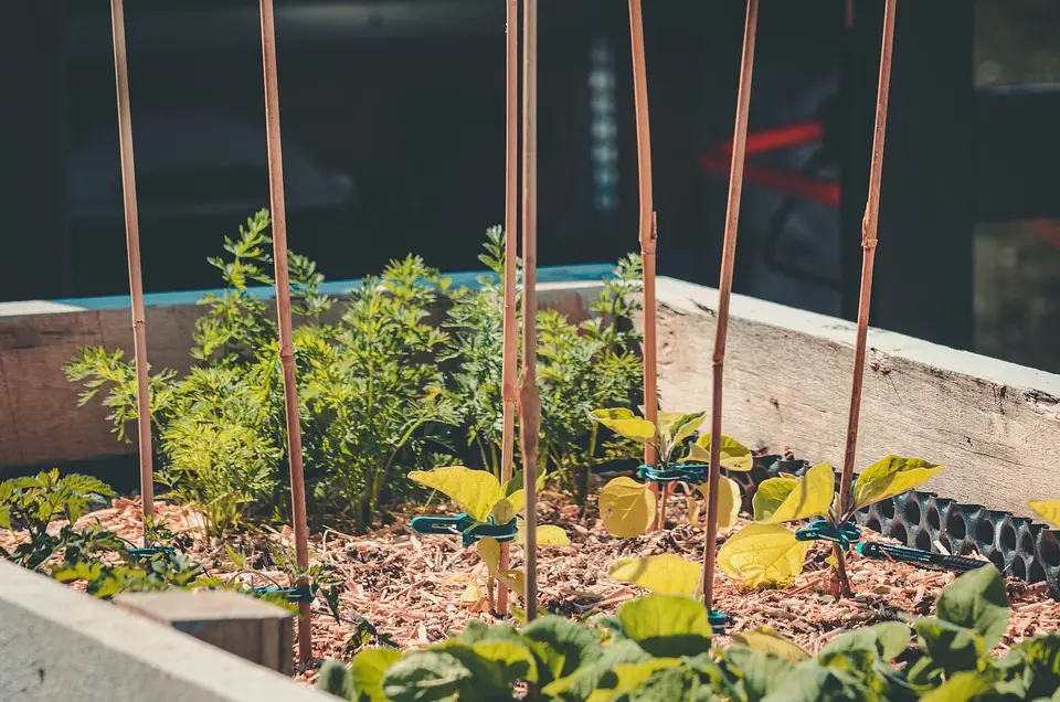 Can You Put A Raised Garden Bed On Grass