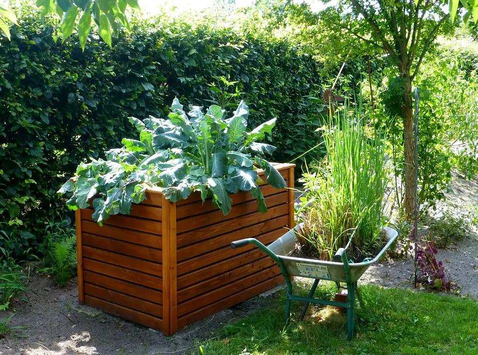 Do Raised Garden Beds Have Bottoms