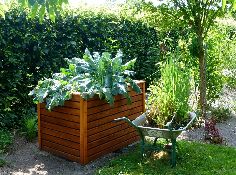 Do Raised Garden beds Have Bottoms? Easy Answer (2023)