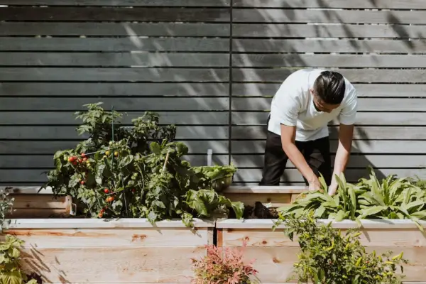 What To Put On Bottom Of Raised Garden Bed? Clear Answer (2023)